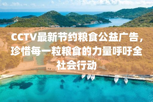 CCTV最新節(jié)約糧食公益廣告，珍惜每一粒糧食的力量呼吁全社會行動