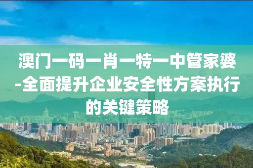 澳門一碼一肖一特一中管家婆-全面提升企業(yè)安全性方案執(zhí)行的關(guān)鍵策略