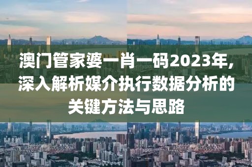 澳門管家婆一肖一碼2023年,深入解析媒介執(zhí)行數(shù)據(jù)分析的關(guān)鍵方法與思路