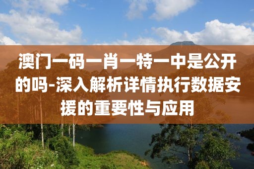 澳門一碼一肖一特一中是公開的嗎-深入解析詳情執(zhí)行數(shù)據(jù)安援的重要性與應(yīng)用