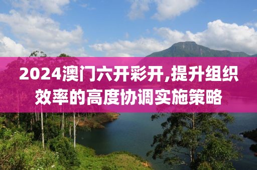 2024澳門六開彩開,提升組織效率的高度協(xié)調(diào)實(shí)施策略