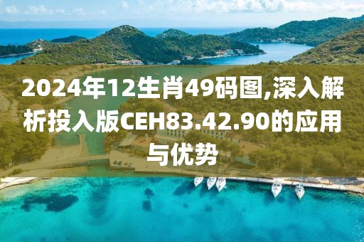 2024年12生肖49碼圖,深入解析投入版CEH83.42.90的應(yīng)用與優(yōu)勢