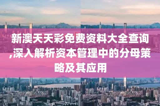 新澳天天彩免費資料大全查詢,深入解析資本管理中的分母策略及其應用