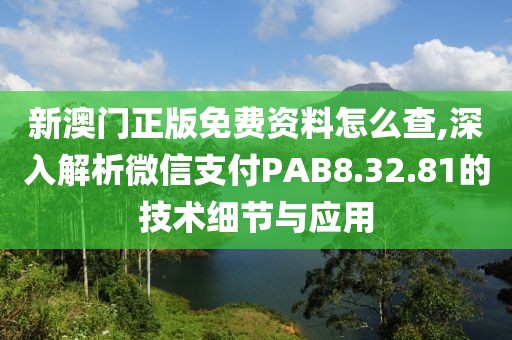 新澳門正版免費(fèi)資料怎么查,深入解析微信支付PAB8.32.81的技術(shù)細(xì)節(jié)與應(yīng)用