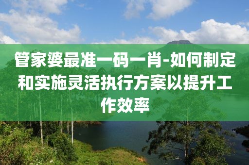 管家婆最準一碼一肖-如何制定和實施靈活執(zhí)行方案以提升工作效率