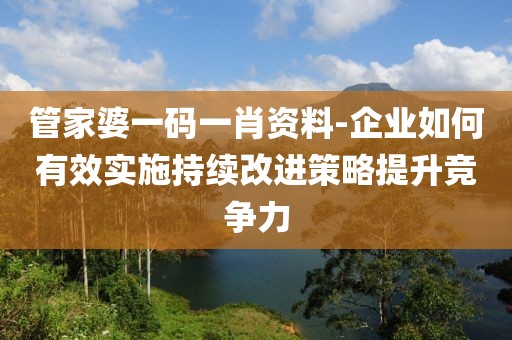 管家婆一碼一肖資料-企業(yè)如何有效實施持續(xù)改進(jìn)策略提升競爭力