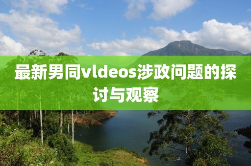 最新男同vldeos涉政問題的探討與觀察