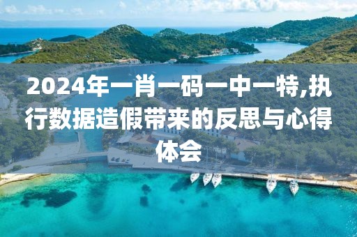 2024年一肖一碼一中一特,執(zhí)行數(shù)據(jù)造假帶來的反思與心得體會