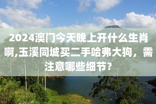 2024澳門今天晚上開什么生肖啊,玉溪同城買二手哈弗大狗，需注意哪些細(xì)節(jié)？