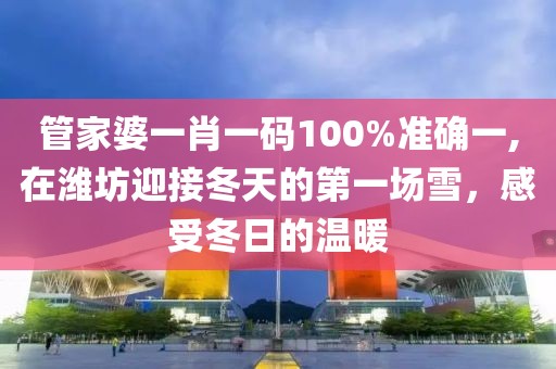 管家婆一肖一碼100%準確一,在濰坊迎接冬天的第一場雪，感受冬日的溫暖