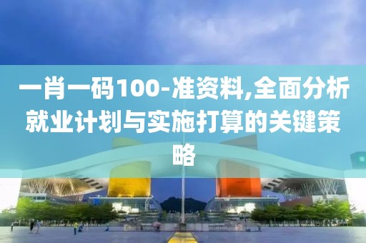 一肖一碼100-準(zhǔn)資料,全面分析就業(yè)計劃與實施打算的關(guān)鍵策略