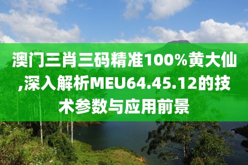 澳門三肖三碼精準100%黃大仙,深入解析MEU64.45.12的技術(shù)參數(shù)與應(yīng)用前景