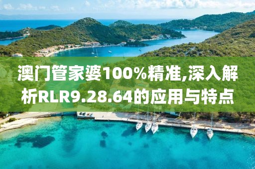 澳門管家婆100%精準(zhǔn),深入解析RLR9.28.64的應(yīng)用與特點(diǎn)