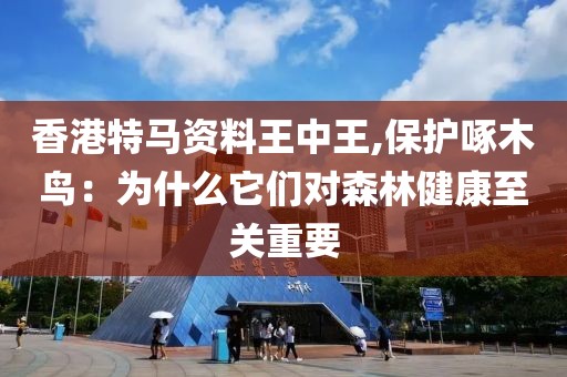 香港特馬資料王中王,保護啄木鳥：為什么它們對森林健康至關(guān)重要