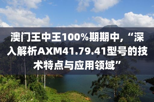 澳門王中王100%期期中,“深入解析AXM41.79.41型號的技術(shù)特點與應(yīng)用領(lǐng)域”