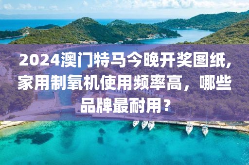 2024澳門特馬今晚開獎(jiǎng)圖紙,家用制氧機(jī)使用頻率高，哪些品牌最耐用？