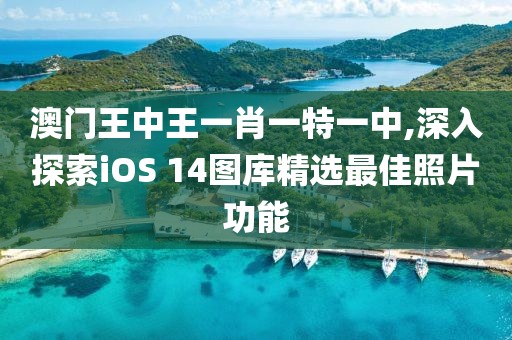 澳門王中王一肖一特一中,深入探索iOS 14圖庫精選最佳照片功能