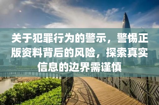 關(guān)于犯罪行為的警示，警惕正版資料背后的風(fēng)險，探索真實信息的邊界需謹(jǐn)慎