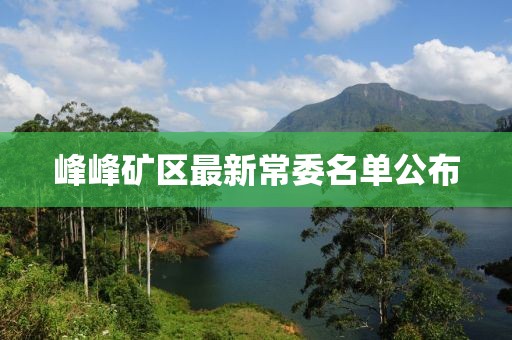 峰峰礦區(qū)最新常委名單公布