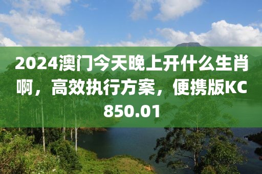 2024澳門今天晚上開什么生肖啊，高效執(zhí)行方案，便攜版KC850.01