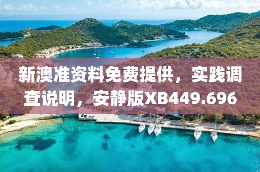 新澳準資料免費提供，實踐調查說明，安靜版XB449.696