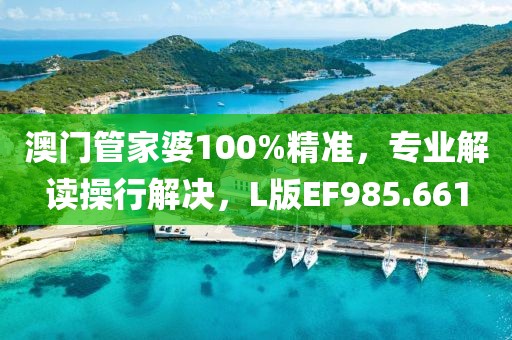 澳門管家婆100%精準，專業(yè)解讀操行解決，L版EF985.661