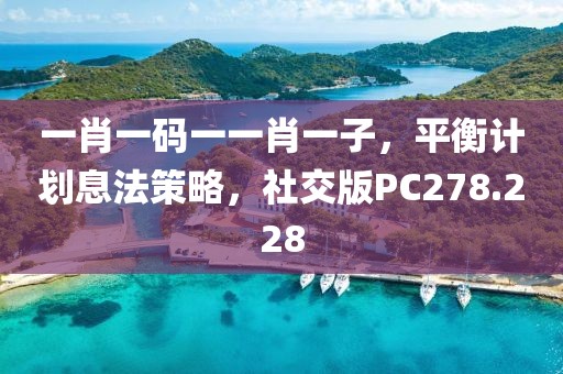 一肖一碼一一肖一子，平衡計(jì)劃息法策略，社交版PC278.228