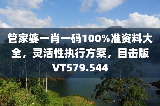 管家婆一肖一碼100%準(zhǔn)資料大全，靈活性執(zhí)行方案，目擊版VT579.544