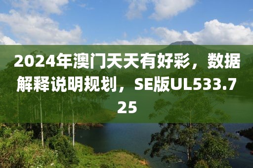 2024年澳門天天有好彩，數(shù)據(jù)解釋說(shuō)明規(guī)劃，SE版UL533.725