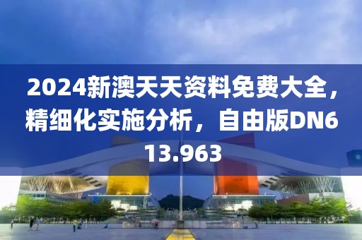 2024新澳天天資料免費大全，精細(xì)化實施分析，自由版DN613.963