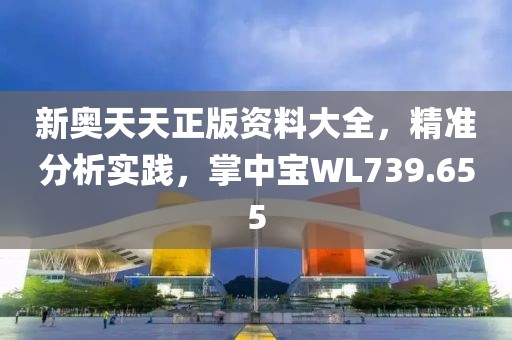 新奧天天正版資料大全，精準(zhǔn)分析實踐，掌中寶WL739.655