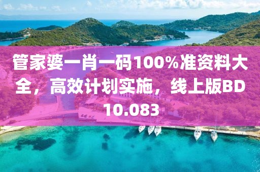 管家婆一肖一碼100%準資料大全，高效計劃實施，線上版BD10.083