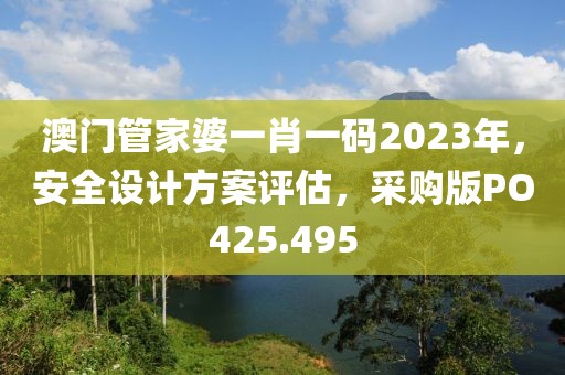 澳門管家婆一肖一碼2023年，安全設(shè)計(jì)方案評(píng)估，采購版PO425.495