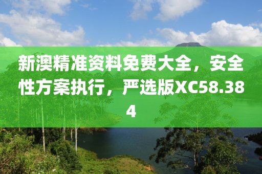 新澳精準(zhǔn)資料免費(fèi)大全，安全性方案執(zhí)行，嚴(yán)選版XC58.384