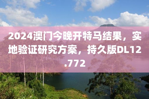 2024澳門今晚開特馬結(jié)果，實(shí)地驗(yàn)證研究方案，持久版DL12.772