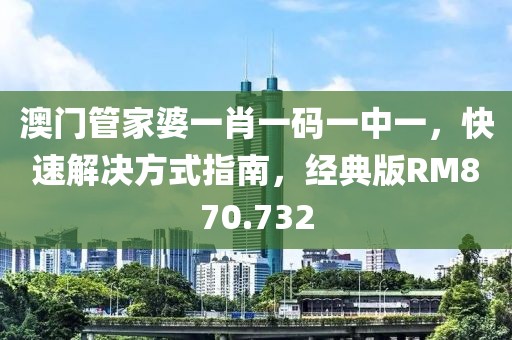 澳門管家婆一肖一碼一中一，快速解決方式指南，經(jīng)典版RM870.732