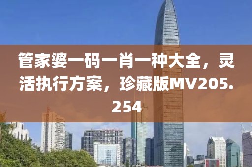 管家婆一碼一肖一種大全，靈活執(zhí)行方案，珍藏版MV205.254