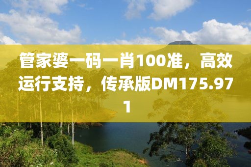 管家婆一碼一肖100準(zhǔn)，高效運(yùn)行支持，傳承版DM175.971