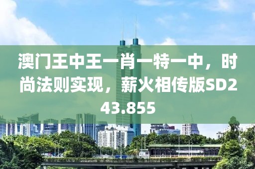 澳門王中王一肖一特一中，時(shí)尚法則實(shí)現(xiàn)，薪火相傳版SD243.855