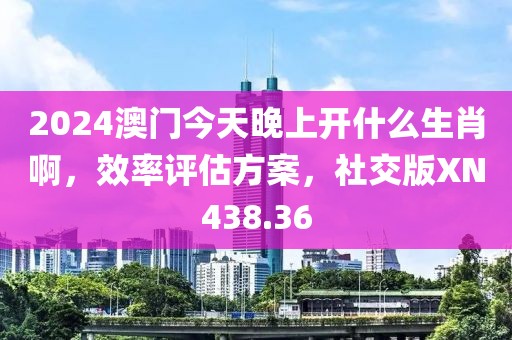 2024澳門今天晚上開什么生肖啊，效率評估方案，社交版XN438.36