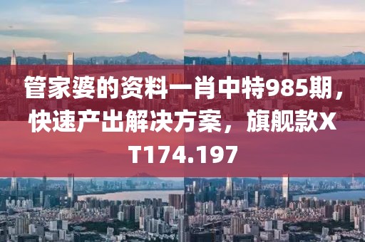 管家婆的資料一肖中特985期，快速產(chǎn)出解決方案，旗艦款XT174.197