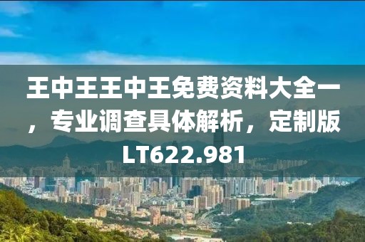 王中王王中王免費(fèi)資料大全一，專業(yè)調(diào)查具體解析，定制版LT622.981