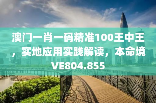 澳門一肖一碼精準100王中王，實地應(yīng)用實踐解讀，本命境VE804.855