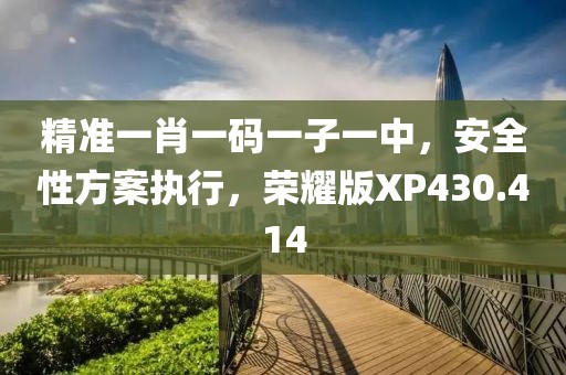 精準(zhǔn)一肖一碼一子一中，安全性方案執(zhí)行，榮耀版XP430.414