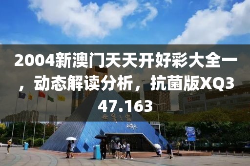 2004新澳門天天開好彩大全一，動態(tài)解讀分析，抗菌版XQ347.163