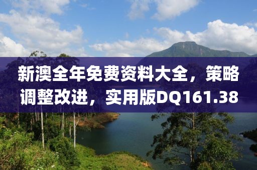 新澳全年免費資料大全，策略調整改進，實用版DQ161.38