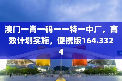 澳門一肖一碼一一特一中廠，高效計劃實施，便攜版164.3324