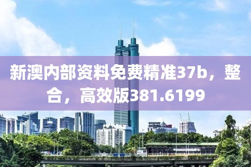 新澳內(nèi)部資料免費(fèi)精準(zhǔn)37b，整合，高效版381.6199