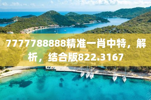 7777788888精準(zhǔn)一肖中特，解析，結(jié)合版822.3167