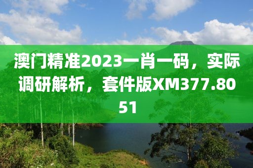 澳門精準(zhǔn)2023一肖一碼，實際調(diào)研解析，套件版XM377.8051